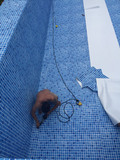 拼裝式游泳池現場鋪貼焊接防水膠膜